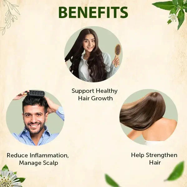 Dr Artho - Jamalgota Hair Growth Powder